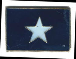 HP4847 Bonnie  Blue Flag 