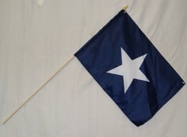 12" x 18" Bonnie blue Stick Flag on 30" stick DZ -  Bonnie blue Stick Flag DZ