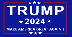 Trump 2024 Make America Again Sticker (Dozen) 