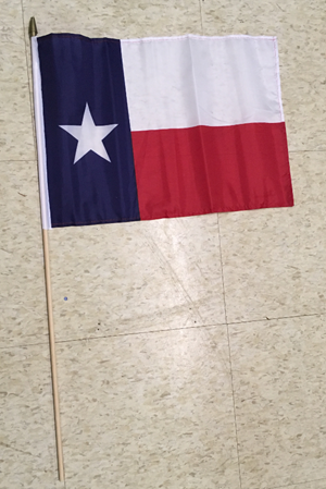 12" x  18" Stick Flag - Texas State DZ